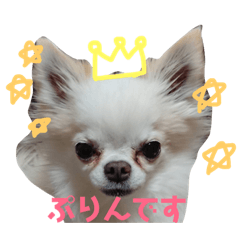 [LINEスタンプ] 我が家の王子様ぷりんくんスタンプ