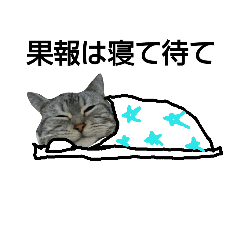 [LINEスタンプ] 猫+棒人間4(マイペースVer.)