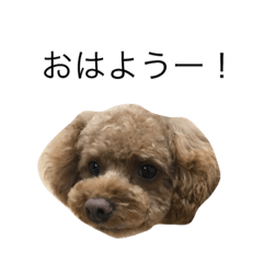 [LINEスタンプ] 濱すたんぷ