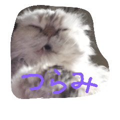 [LINEスタンプ] ゆるぬこんぷ