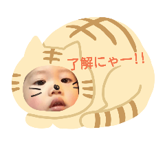 [LINEスタンプ] 快飛 season1