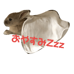 [LINEスタンプ] うさぎの耳ちゃん