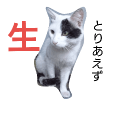[LINEスタンプ] いつ使うねん