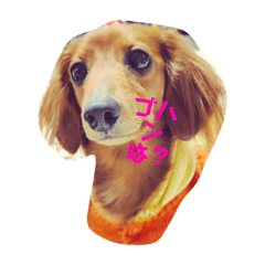 [LINEスタンプ] あいポ