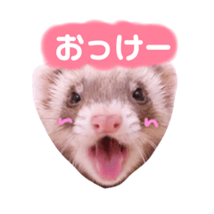 [LINEスタンプ] くるみあんずここな