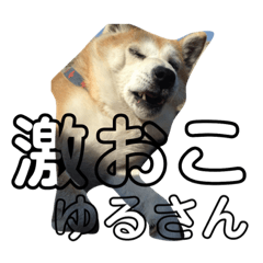 [LINEスタンプ] さくら ん