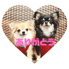 [LINEスタンプ] ぱったんとべすけ