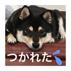 [LINEスタンプ] まめ+アル+クリ