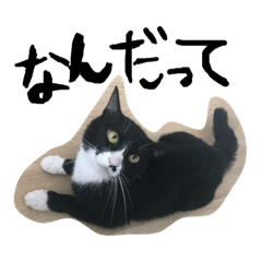[LINEスタンプ] おはメイビー