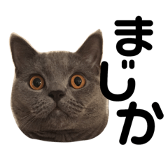 [LINEスタンプ] たろすけのことば