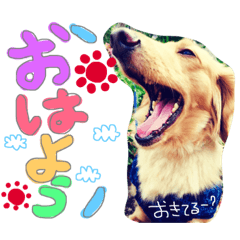 [LINEスタンプ] そらくん♡すたんぷ