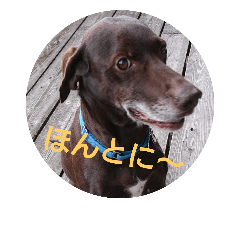 [LINEスタンプ] ツイッギーのつぶやき