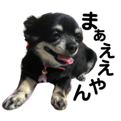 [LINEスタンプ] 山田家のコロン2