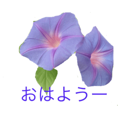 [LINEスタンプ] 手書き風スタンプ  夏