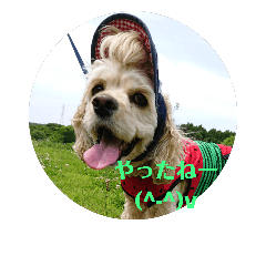 [LINEスタンプ] のあぁ その2