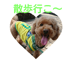[LINEスタンプ] 日常会話わんこ