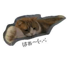 [LINEスタンプ] チェロちゃん1