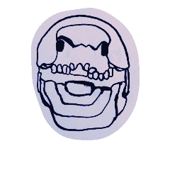 [LINEスタンプ] ダンゴムシ先輩