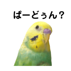 [LINEスタンプ] ぴーこさん2