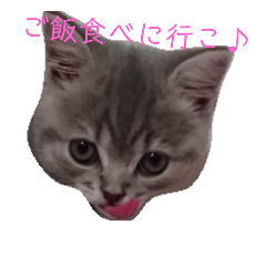 [LINEスタンプ] ブリティッシュのりんちゃん