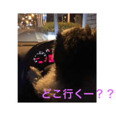 [LINEスタンプ] ワンニャンコ part1