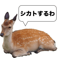 [LINEスタンプ] 鹿スタンプ