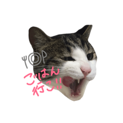 [LINEスタンプ] うちのユキチさん