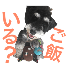 [LINEスタンプ] ルークがいる生活