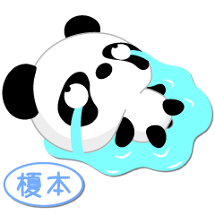 [LINEスタンプ] 榎本専用 Mr.パンダ [ver.1]