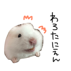 [LINEスタンプ] 私の可愛い娘達です！！！！