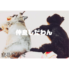 [LINEスタンプ] まろきんぐ