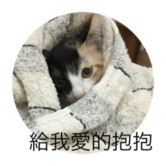 [LINEスタンプ] 寵物戀
