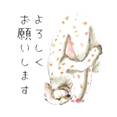 [LINEスタンプ] ペットホームの愉快な仲間たち♪