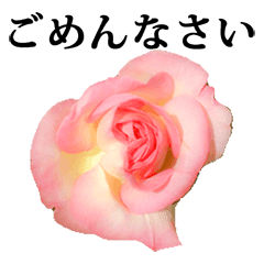 [LINEスタンプ] バラの花 と 文字