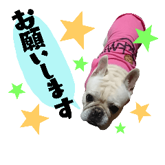 [LINEスタンプ] フレブルBUBUと仲間たち☆