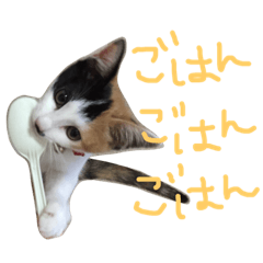 [LINEスタンプ] KIKI ^._.^