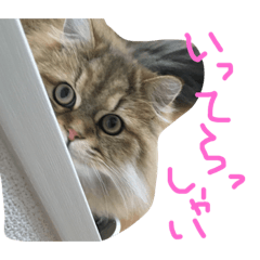 [LINEスタンプ] 優雅な猫おこめ