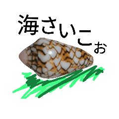 [LINEスタンプ] 貝で…