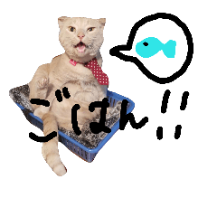 [LINEスタンプ] ウチのみろ