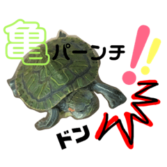 [LINEスタンプ] 亀の世界