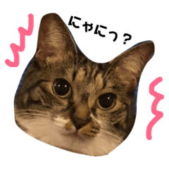 [LINEスタンプ] わぽさぼコンビ  1