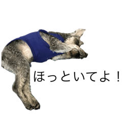 [LINEスタンプ] お眠なセナくん