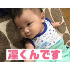 [LINEスタンプ] 【身内】りんりんすたんぷ