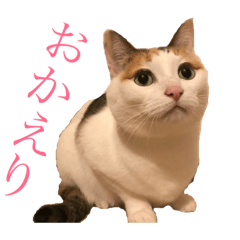 [LINEスタンプ] むーむー0606