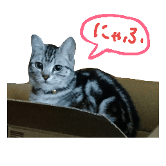 [LINEスタンプ] ラン♪
