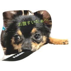 [LINEスタンプ] うぃーっす