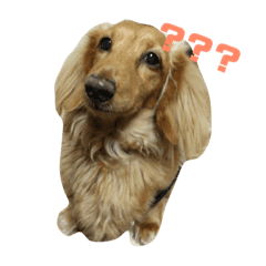 [LINEスタンプ] のほほんサリー
