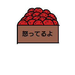 [LINEスタンプ] 箱の中のしろちゃん