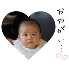 [LINEスタンプ] むぎの使えるスタンプ