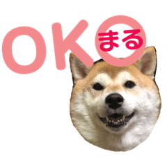 [LINEスタンプ] ぷにぷにまる